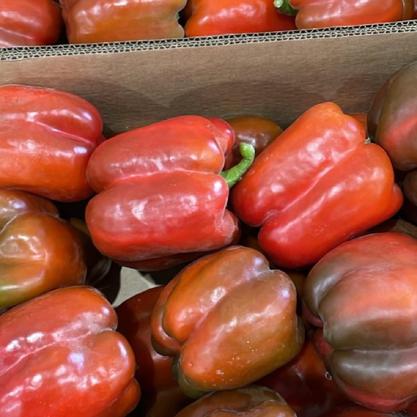 פלפל אדום אורגני