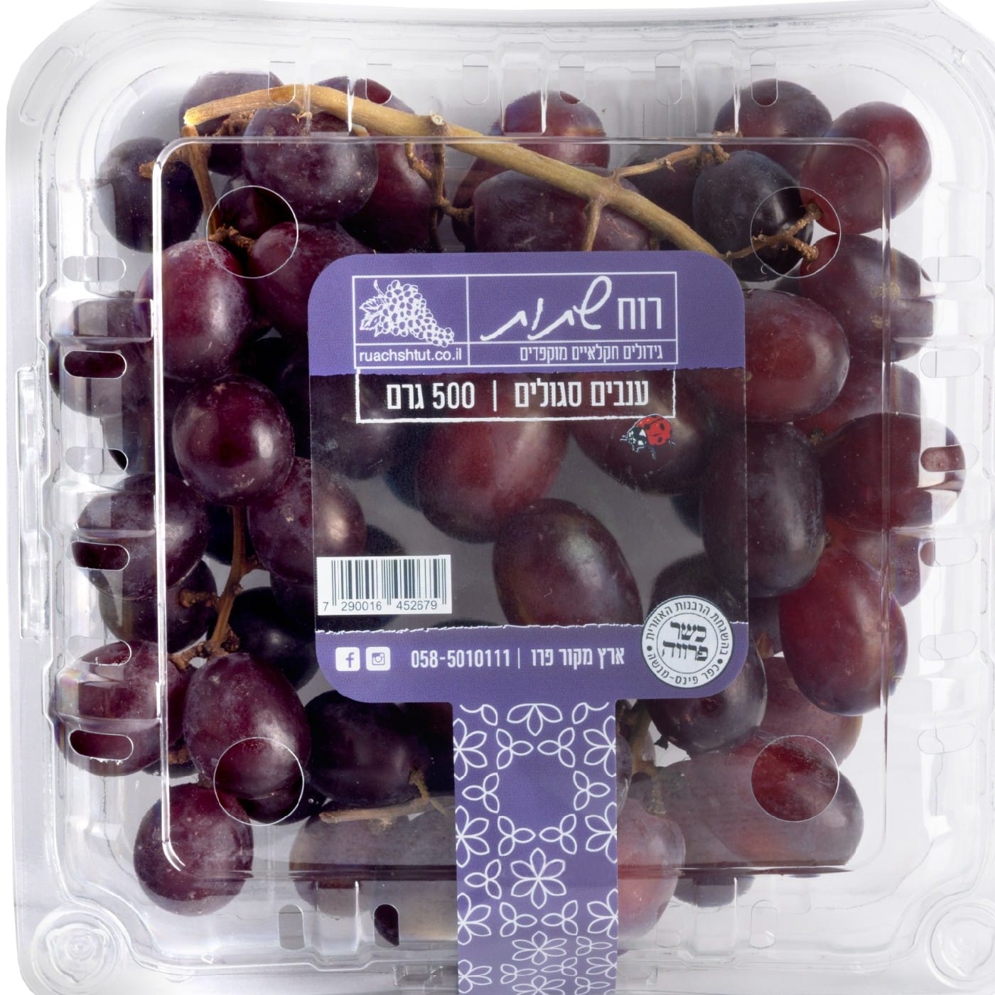 מארז ענבים סגולים 