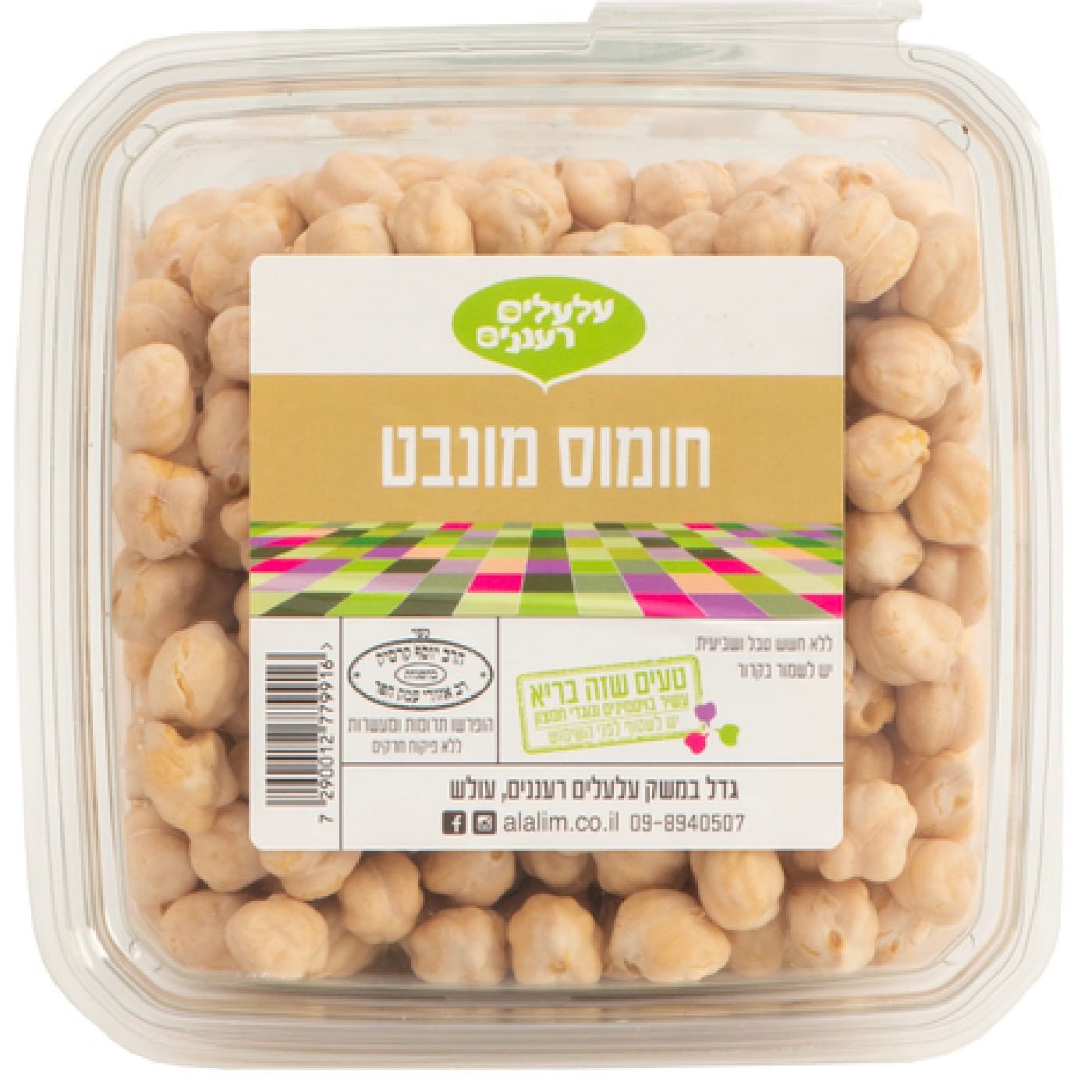 חומוס מונבט