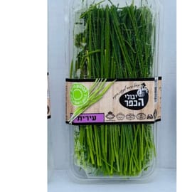 טעם עדין של בצל