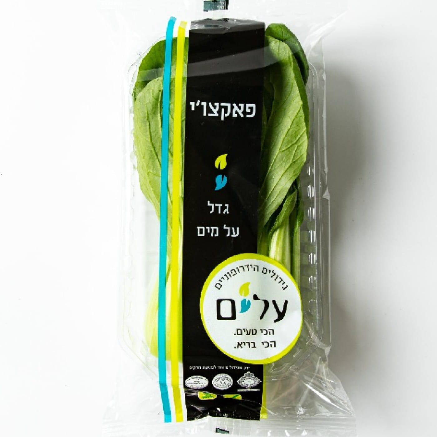 באק צ'וי הידרופוני