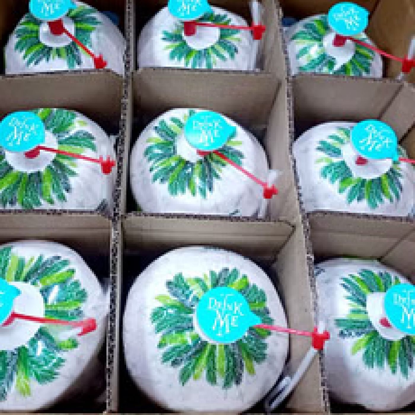 ארגז קוקוס לשתיה אורגני