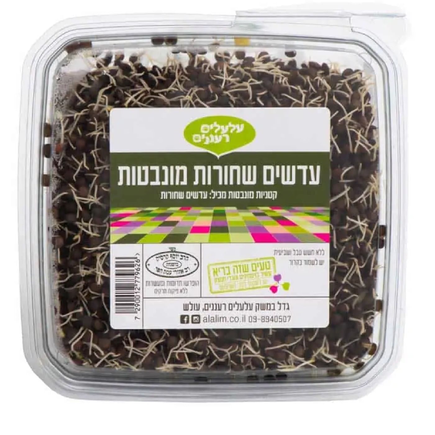 עדשים שחורות מונבטות