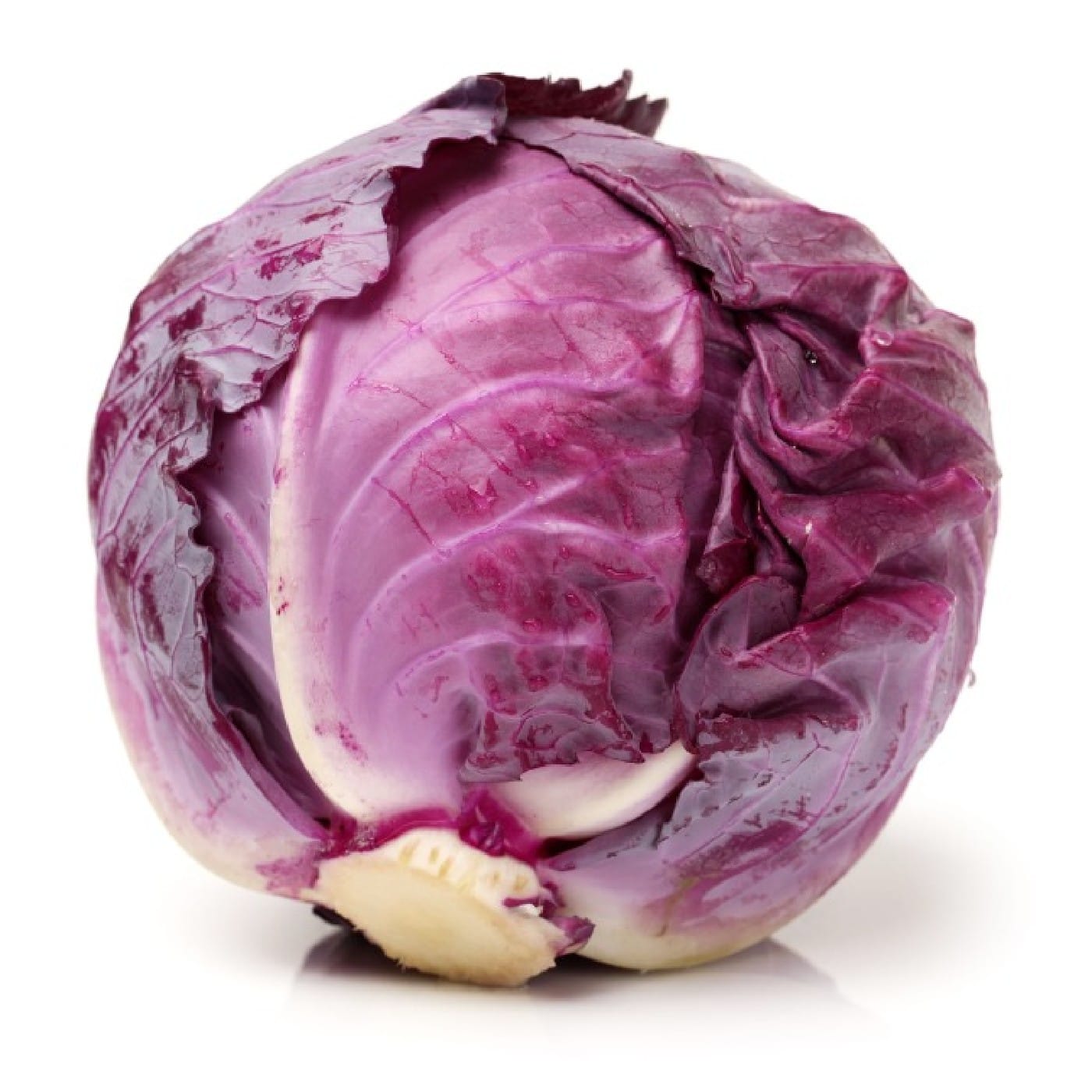 כרוב אדום אורגני