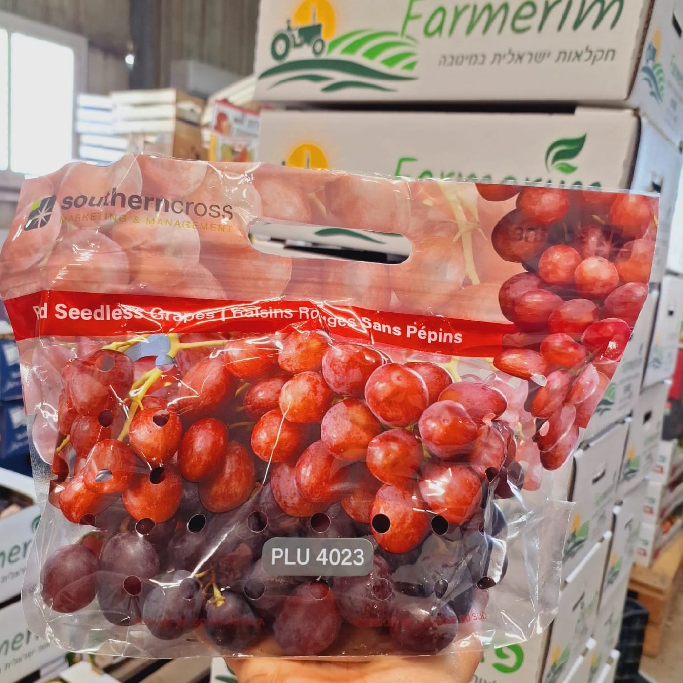 מארז ענבים אדומים 