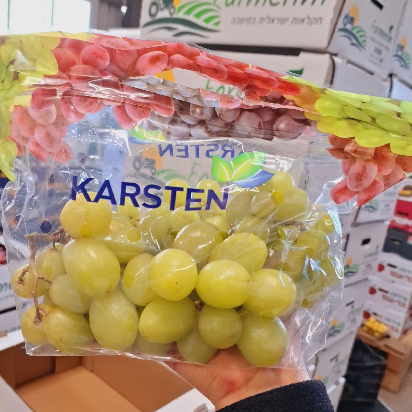 מארז ענבים ירוקים 