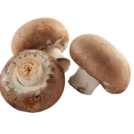 כ-200 ג'. בפיקוח הלכתי בנושא חרקים