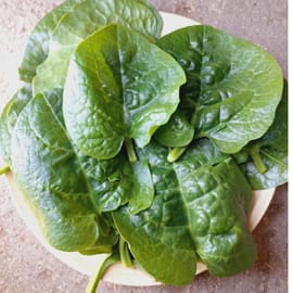 עלי תרד גדולים ובשרניים, מעולה למרקים וקציצות