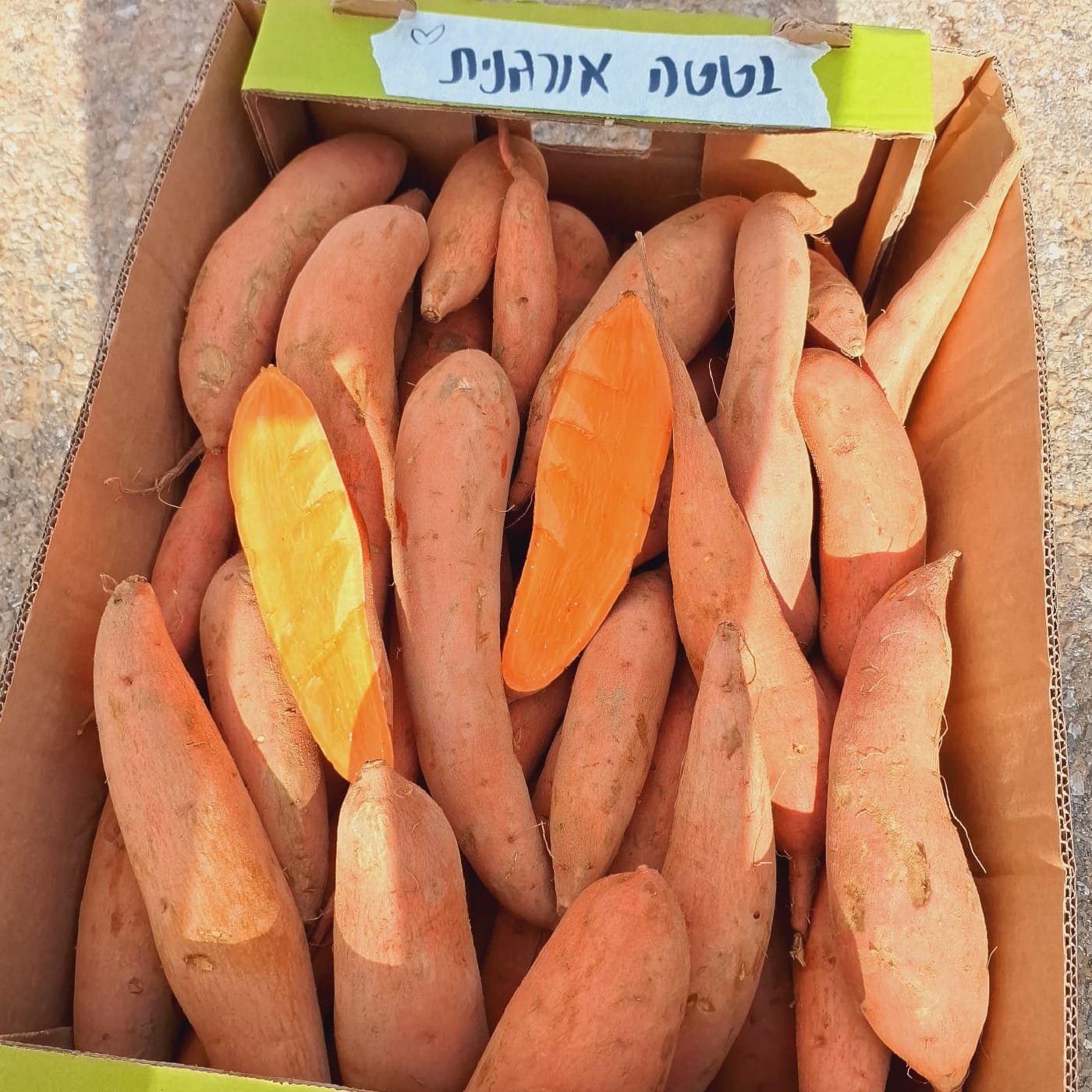 בטטה אורגנית