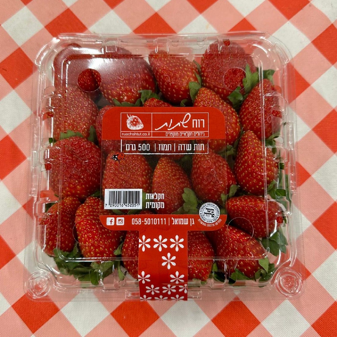 תות שדה 500 גרם רוח שתות