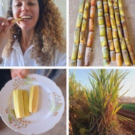 יחידה באורך של כ-30 ס