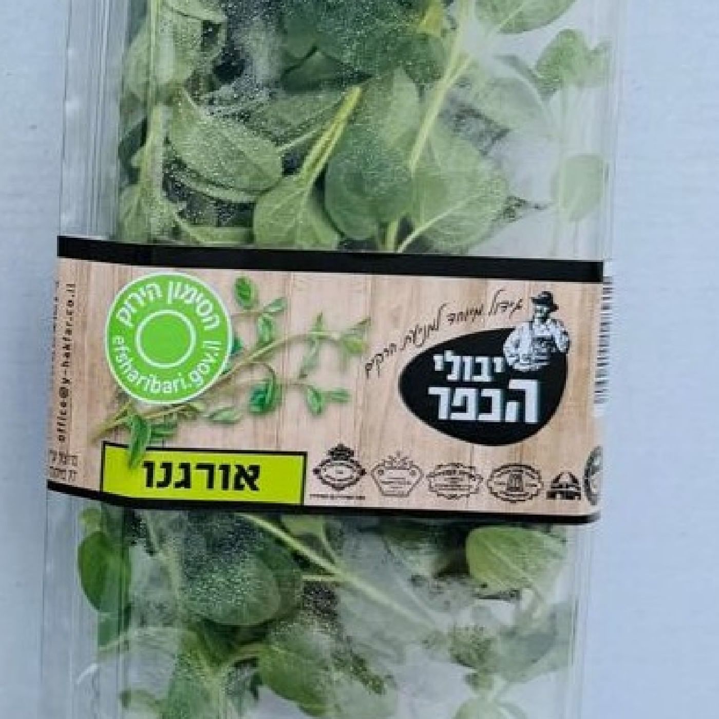 אורגנו מהדרין