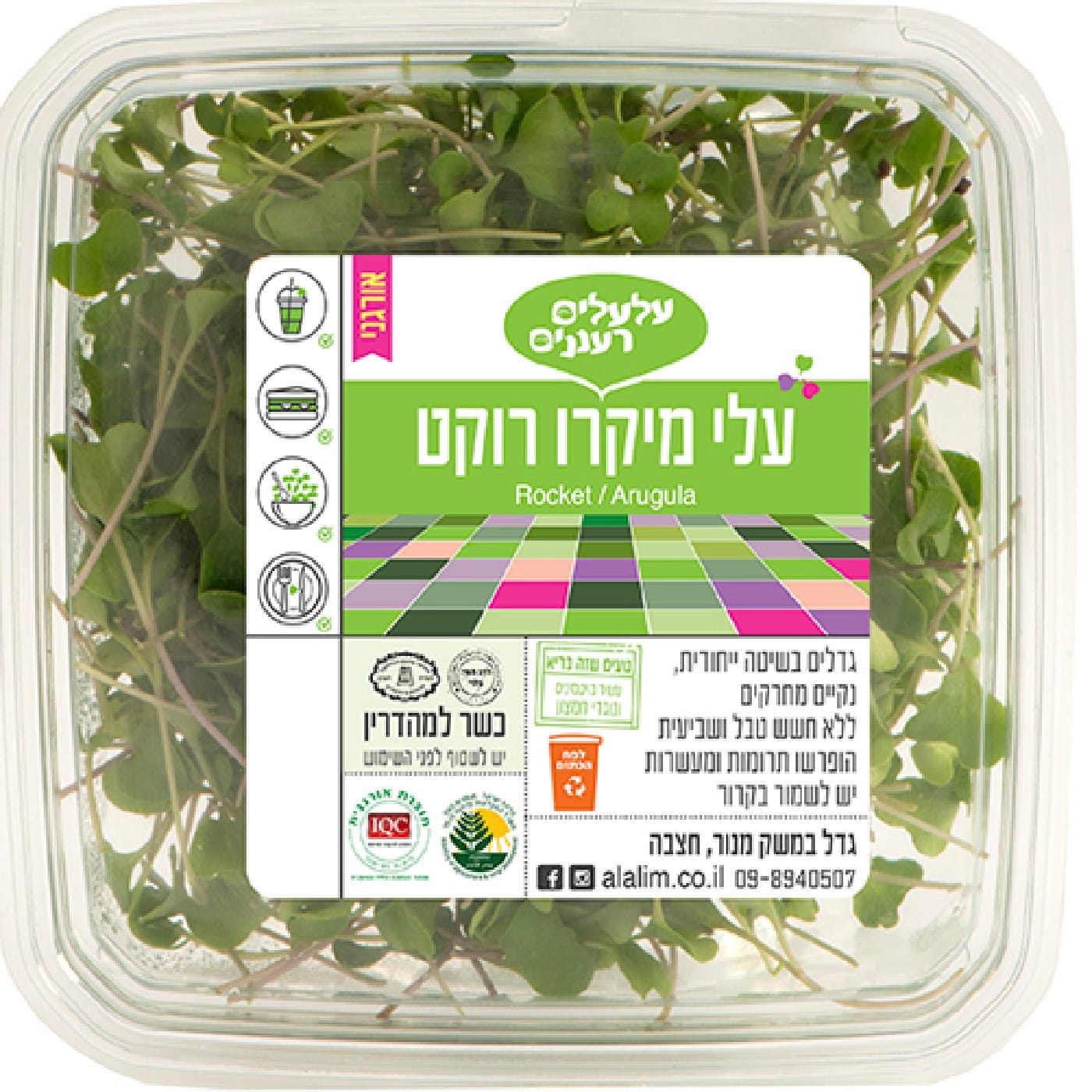 עלי מיקרו רוקט