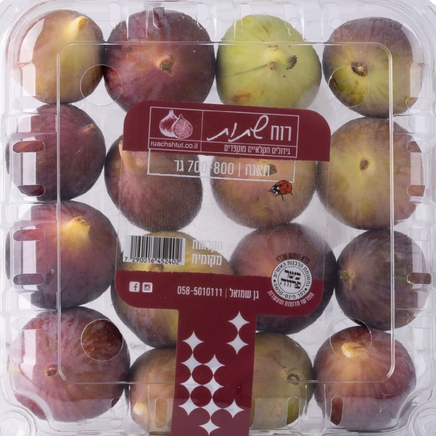 תאנים קפריסאיות ירוקות