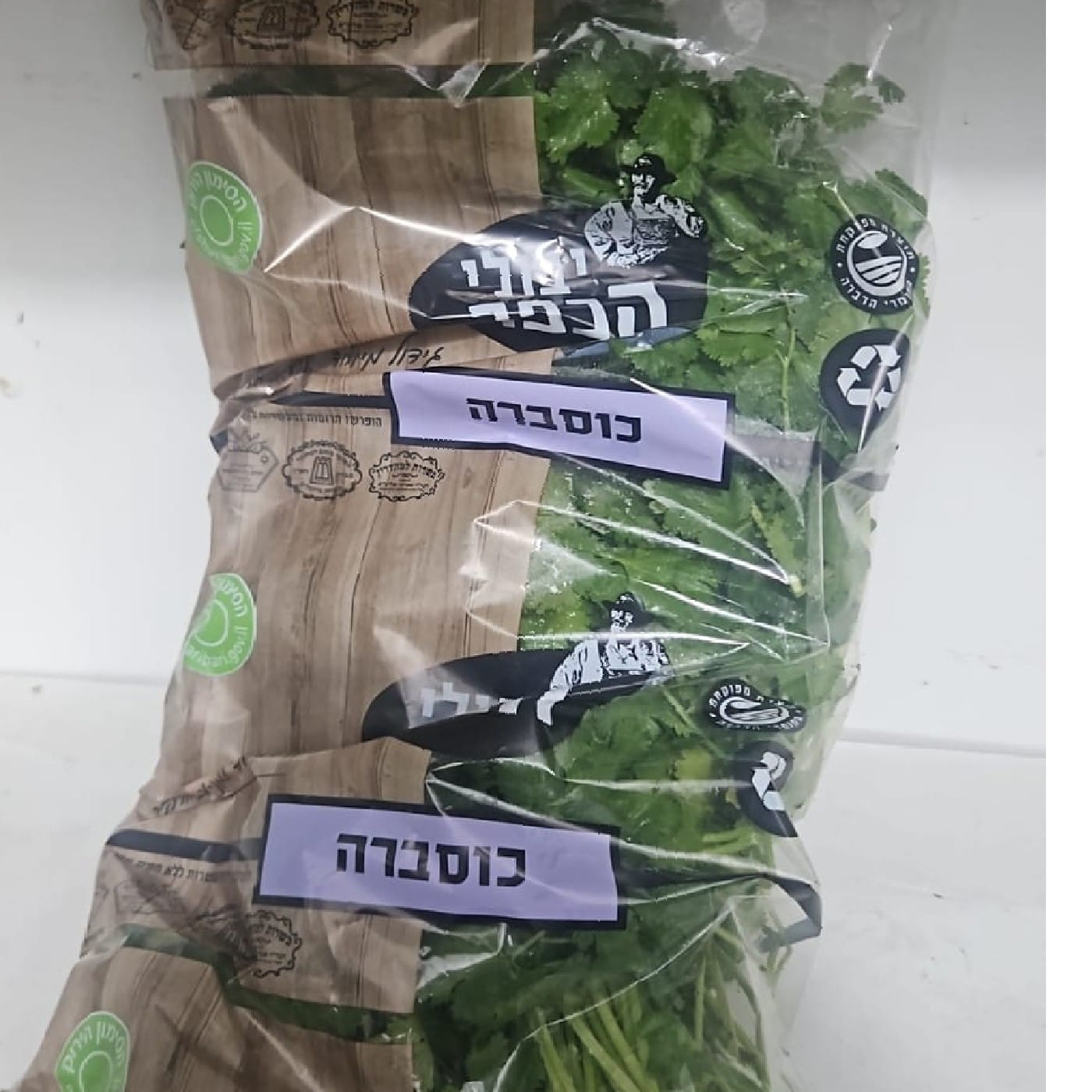 כוסברה מהדרין 500 ג'