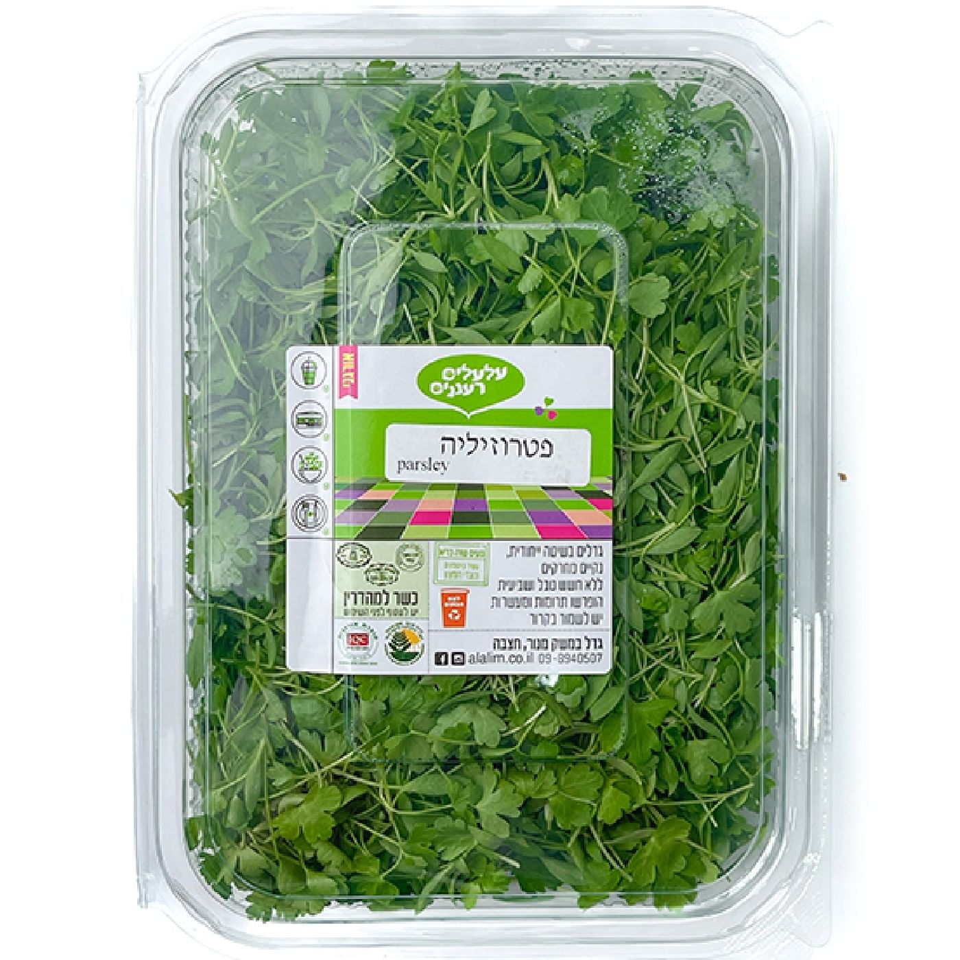 עלי מיקרו פטרוזיליה מארז XL