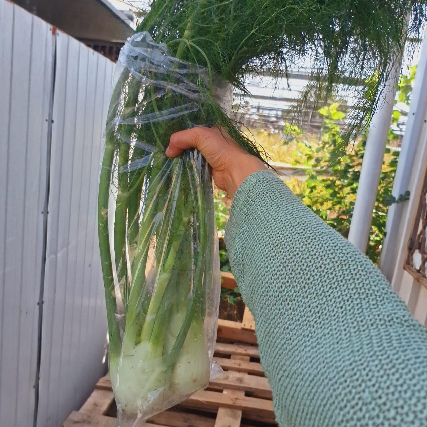 צרור בייבי שומר אורגני