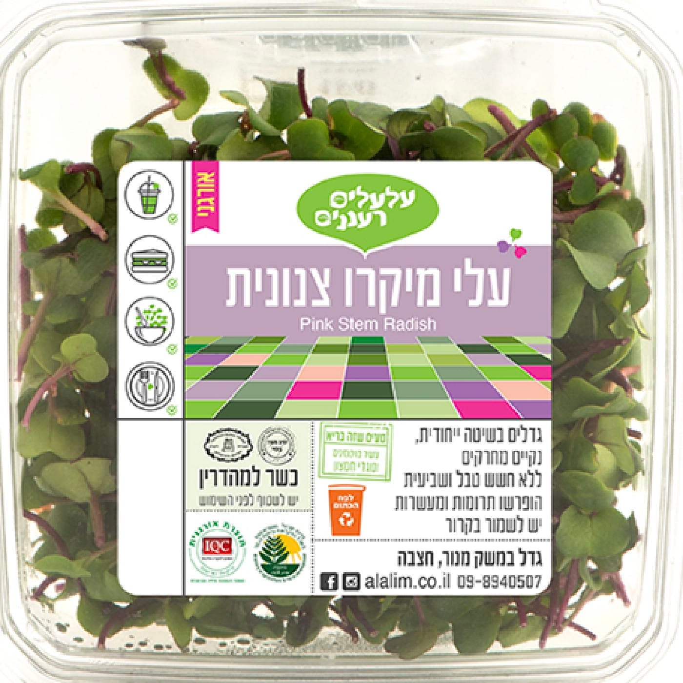 עלי מיקרו צנונית