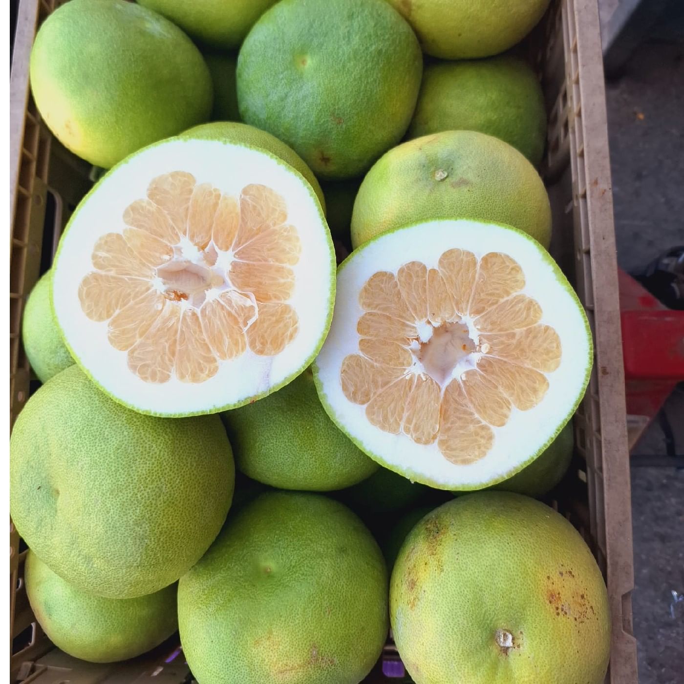 פומלית לבנה אורגנית