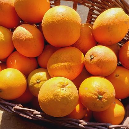 תפוז טבורי למיץ - 6 ק"ג