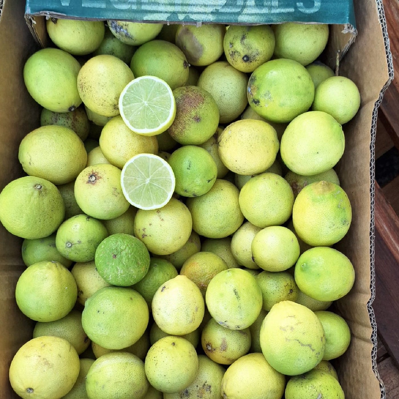 ליים אורגני