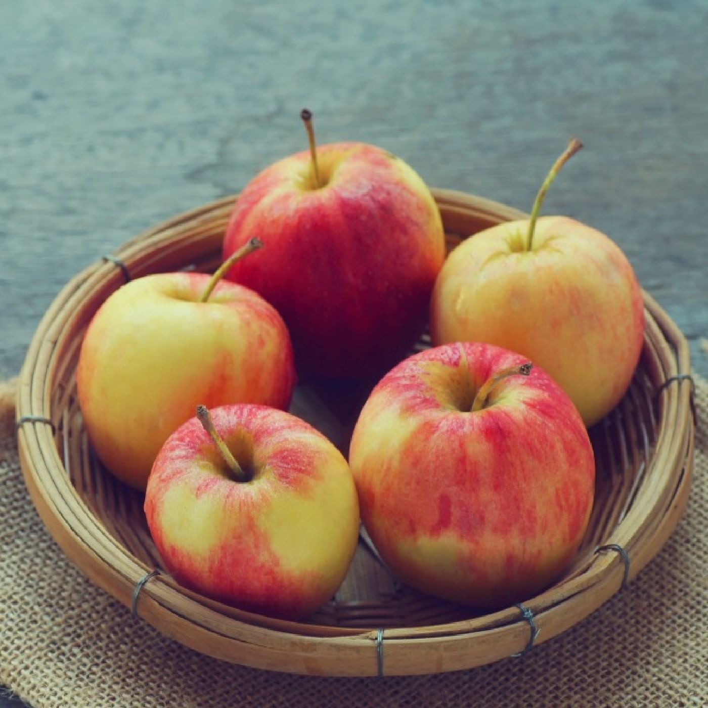 תפוח עץ גאלה אורגני