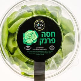 יחידה 1. ממשפחת