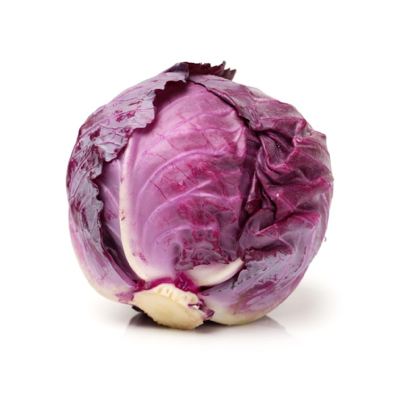 כרוב אדום מהדרין