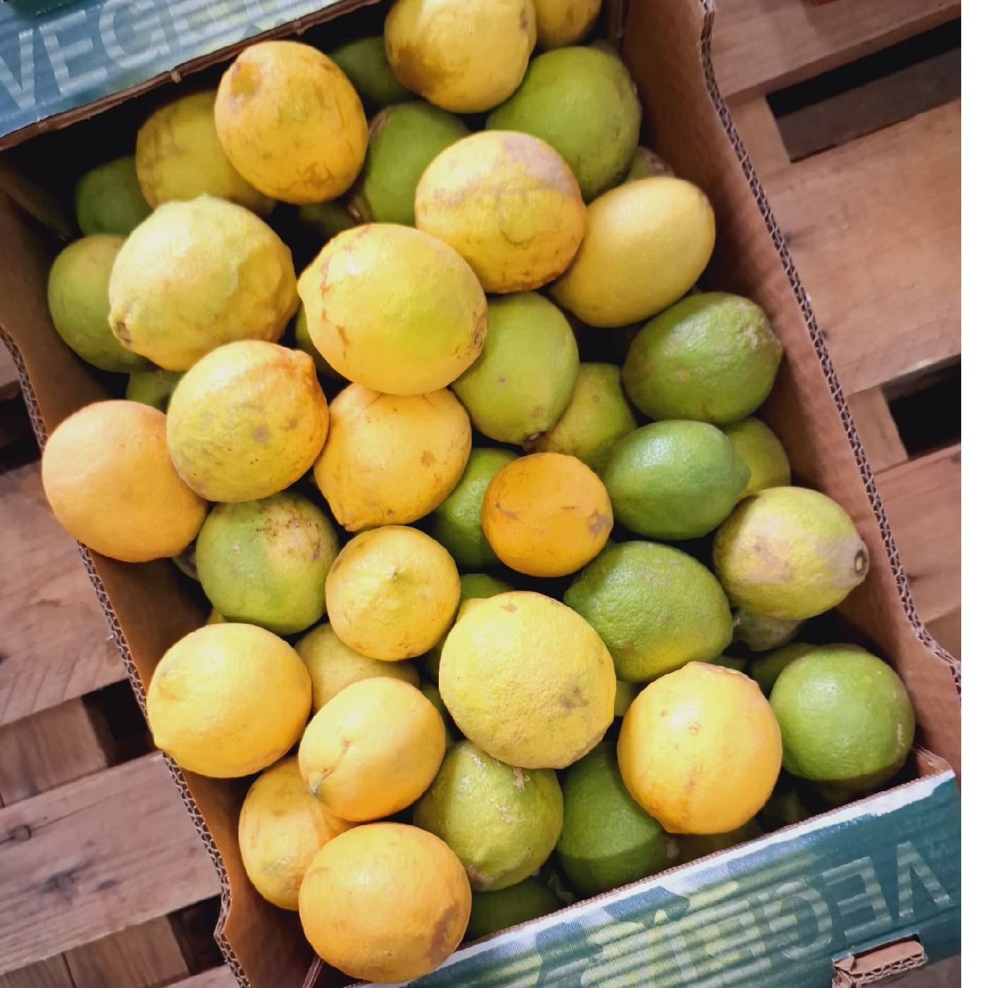 לימון אורגני