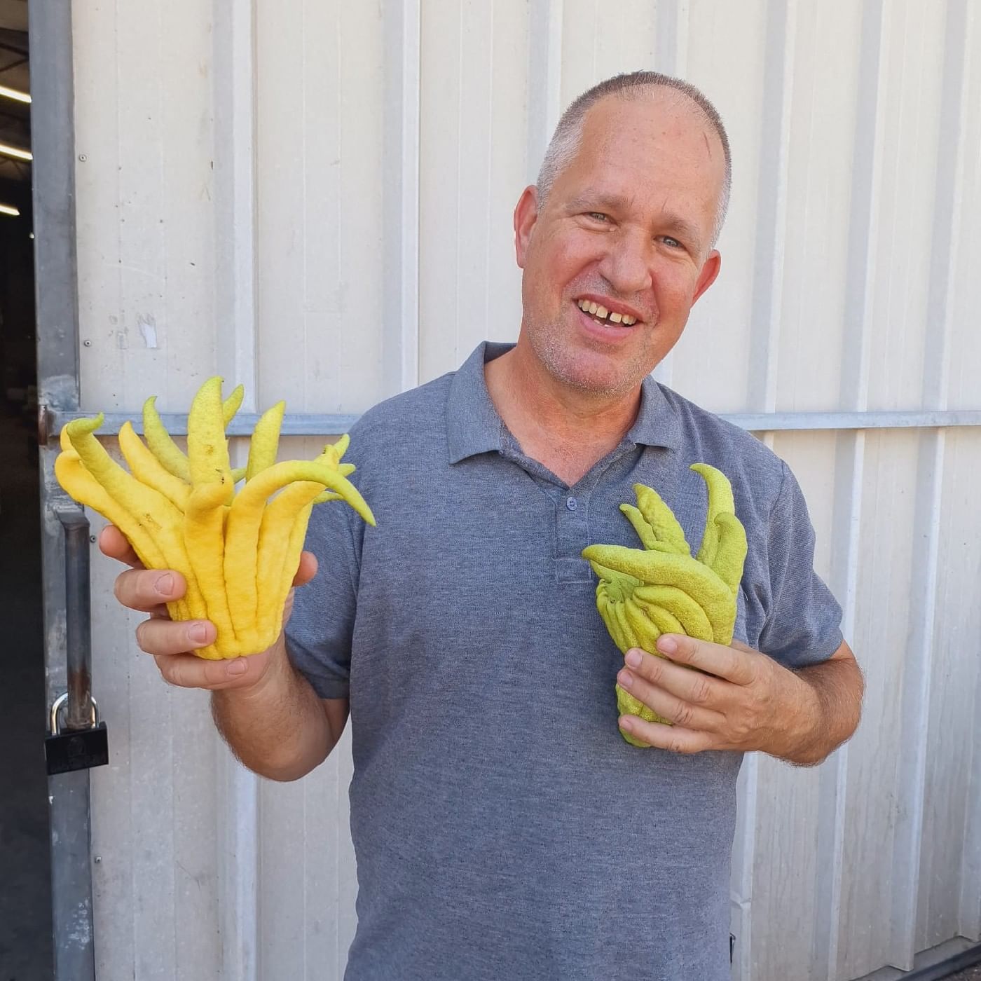 אצבעות בודהה