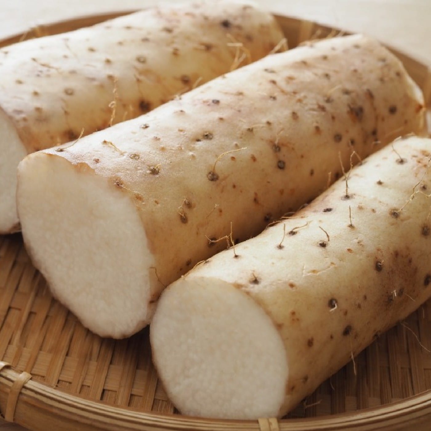 בטטה לבנה אורגנית