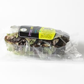 כ-150 ג'. 2 יחידות. חסה מסולסלת טעימה