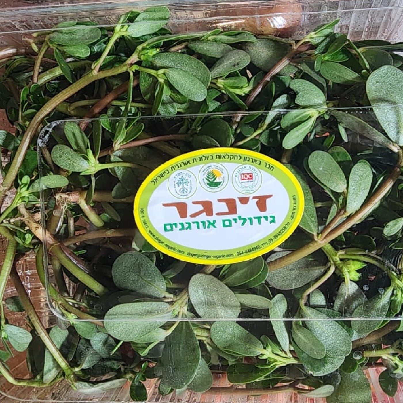 רגלת (ריג'לה) הגינה אורגנית מארז