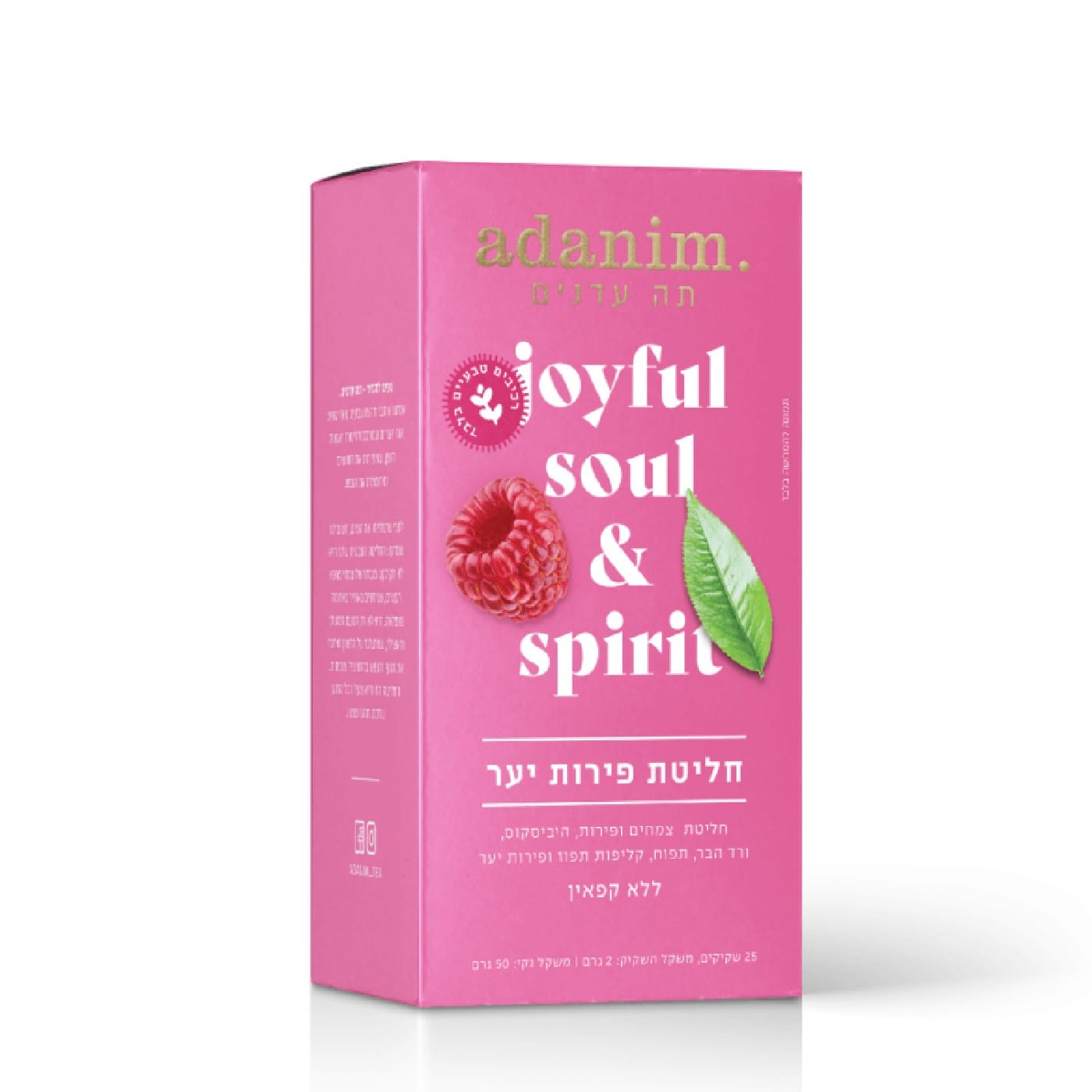 חליטת פירות יער