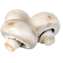 כ-200 ג'. בפיקוח הלכתי בנושא חרקים