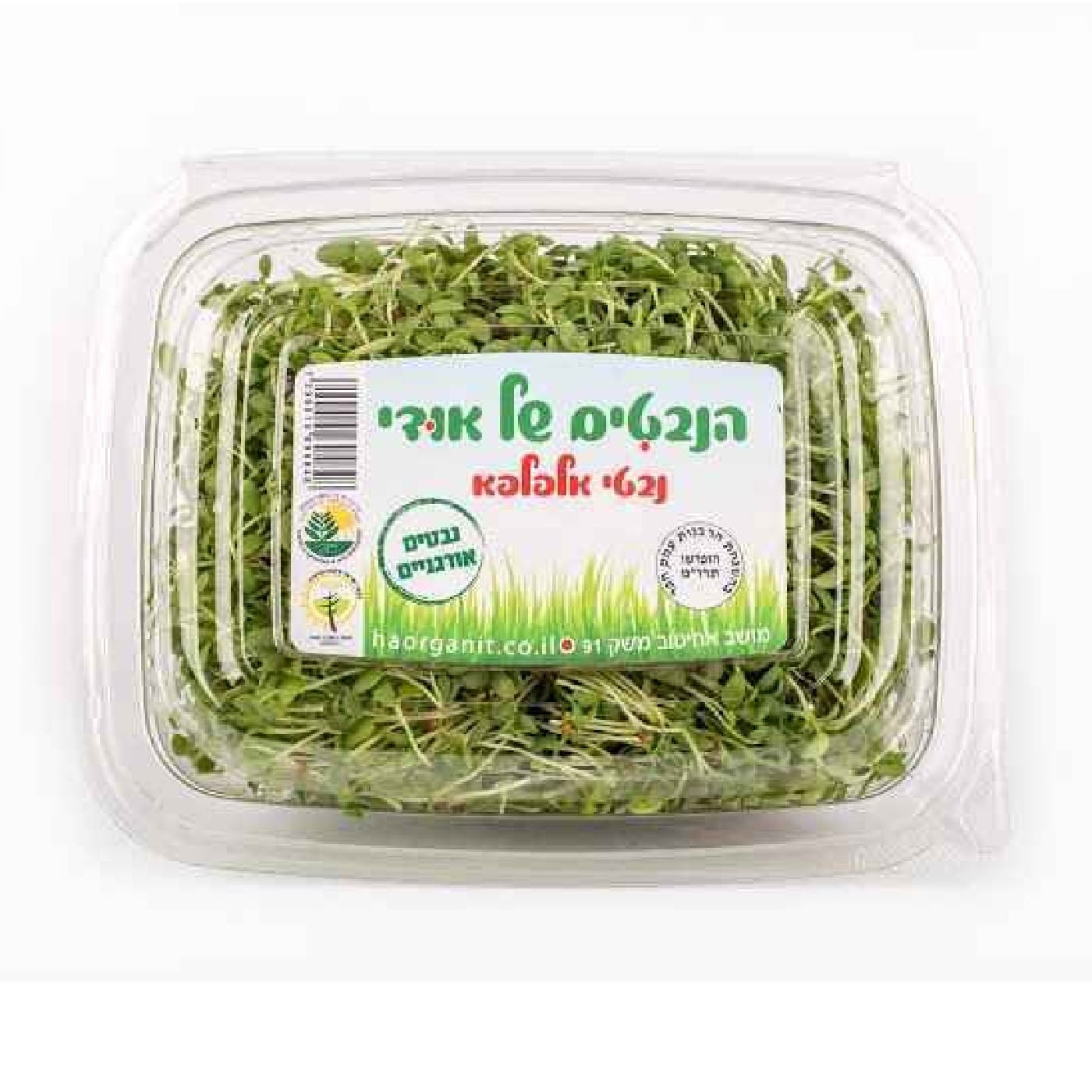 נבטי אלפלפא אורגנים