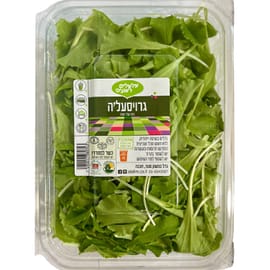 עלי חסה צעירים, גדלים השיטה ייחודית. לרוב ירוקים. לעיתים עם עלים סגלגלים