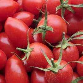 עגבניה מתוקה ועסיסית. לפי משקל