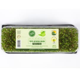 על מצע אדמה - 300 גרם