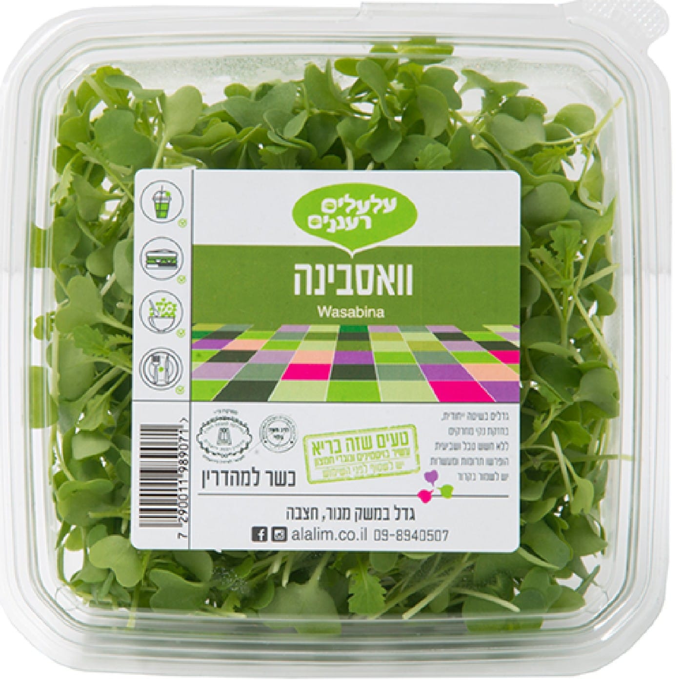 עלי מיקרו וואסבינה