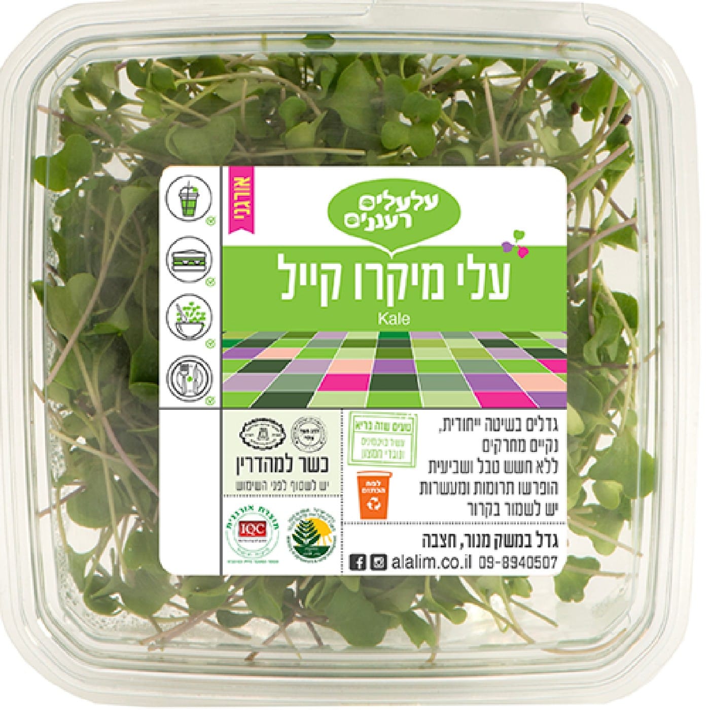 עלי מיקרו קייל