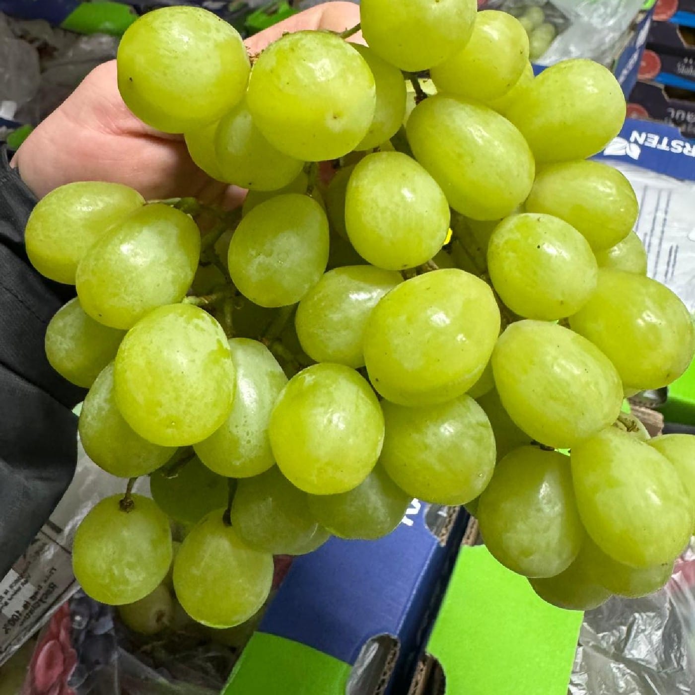 מארז ענבים ירוקים 