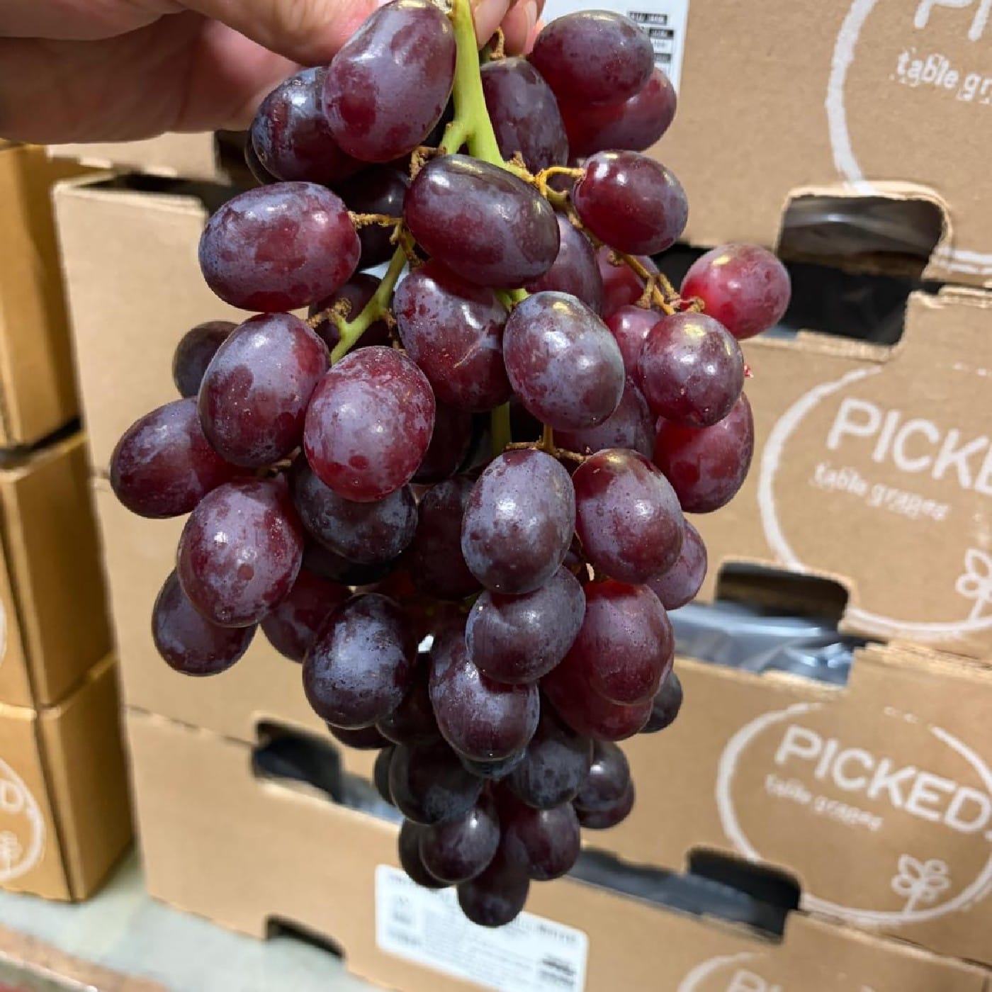 מארז ענבים אדומים 