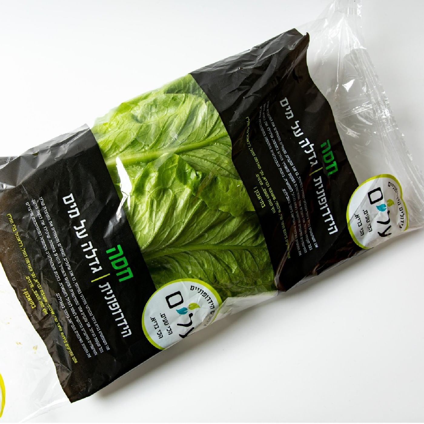 חסה ערבית הידרופונית