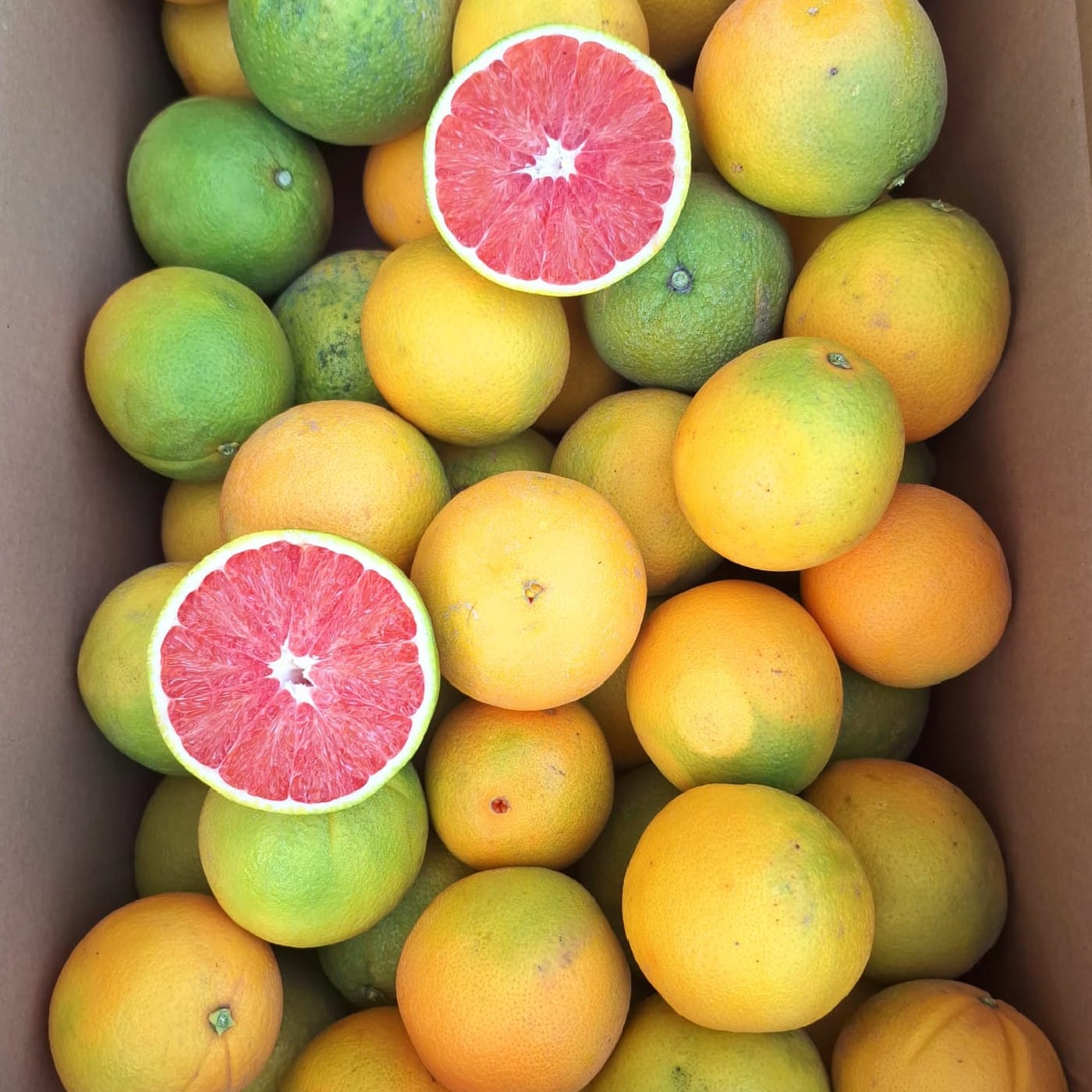 תפוז קרה קרה אורגני