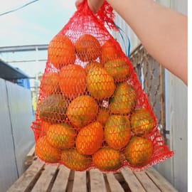 זן פרדייס קטיף טרי. פפאיה מתוקה ונהדרת. משק סוטו. לרוב בשק רשת. חיוב לפי משקל