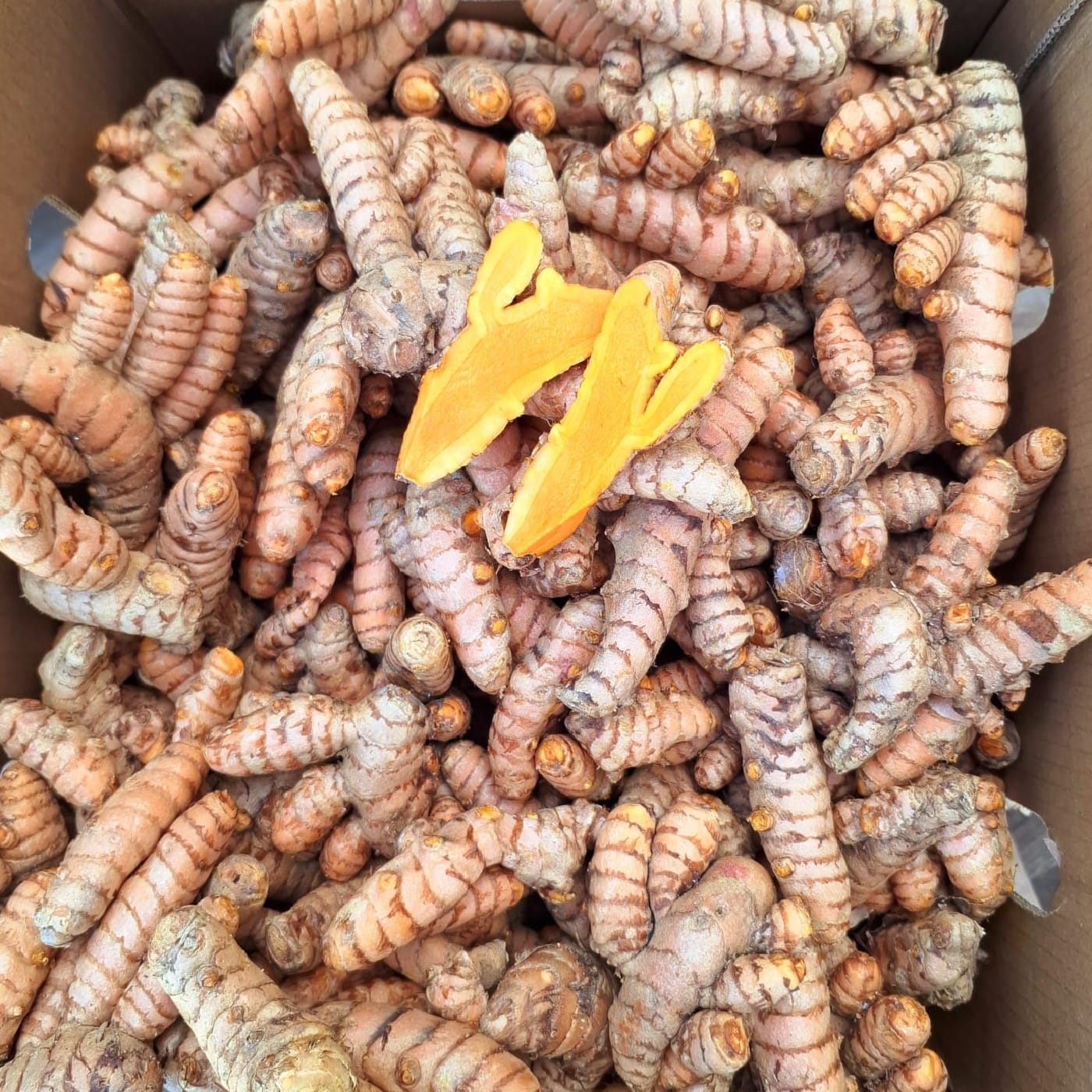 שורש כורכום אורגני יבוא 1 ק