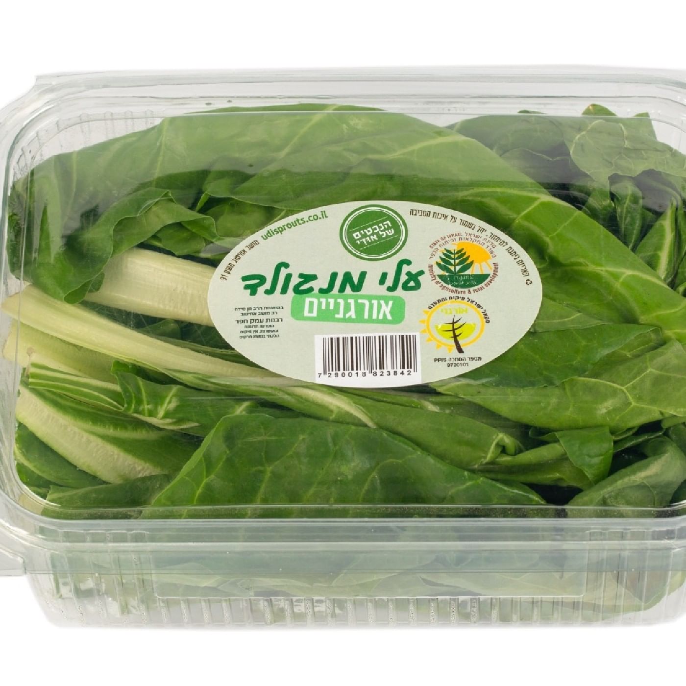 עלי מנגולד אורגניים