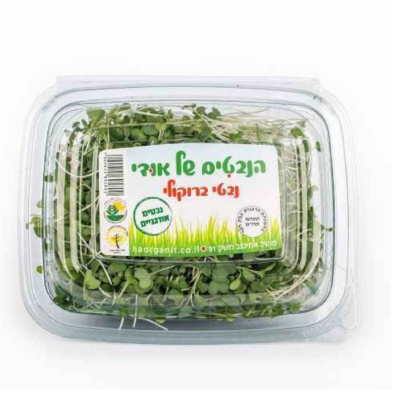 נבטי ברוקולי אורגניים