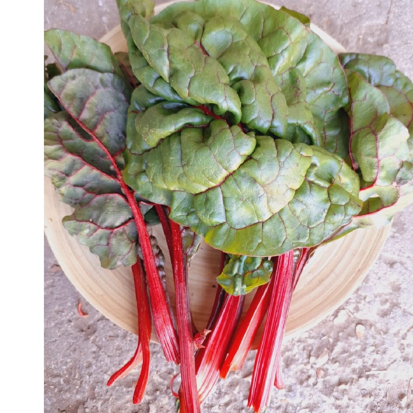 מנגולד אדום אורגני